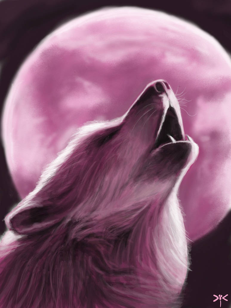 Pink wolf by coixuong182 on DeviantArt