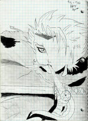 Hitsugaya 2