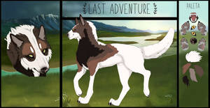 LAST ADVENTURE Lasota