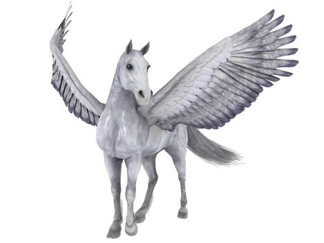 Wingdhorse05