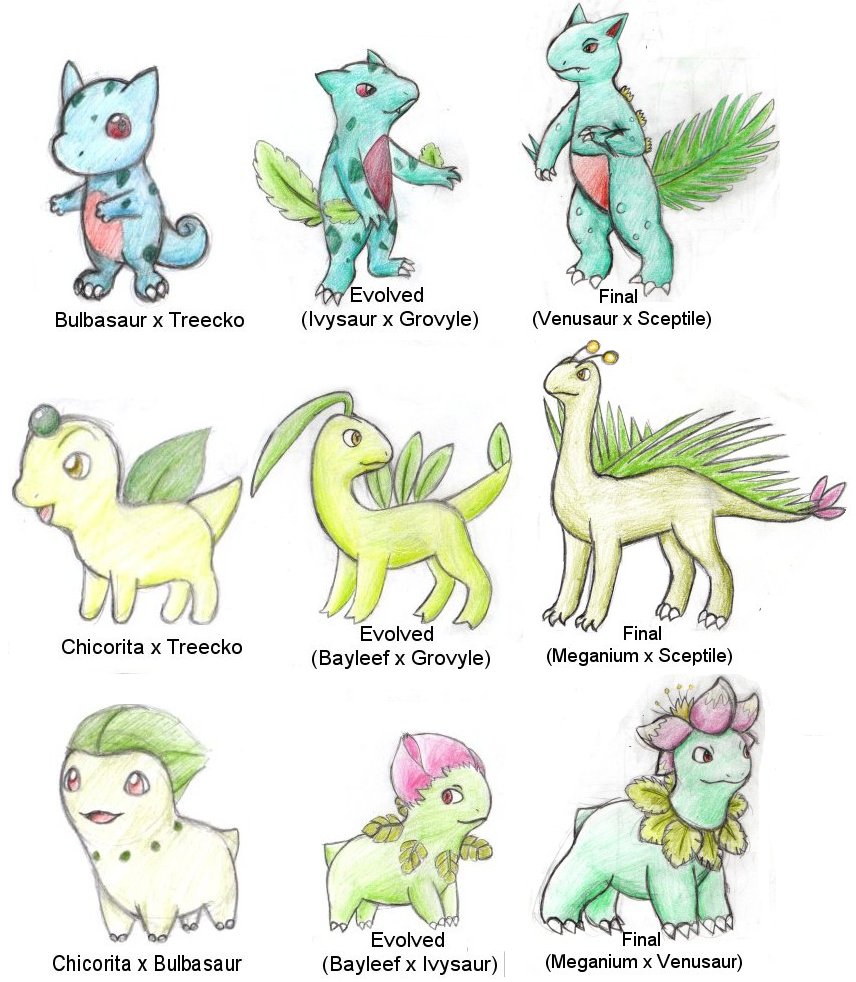 Crossbreeds: Grass starters