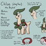 Chloe Reference Sheet