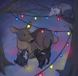 Lighting Up the Forest