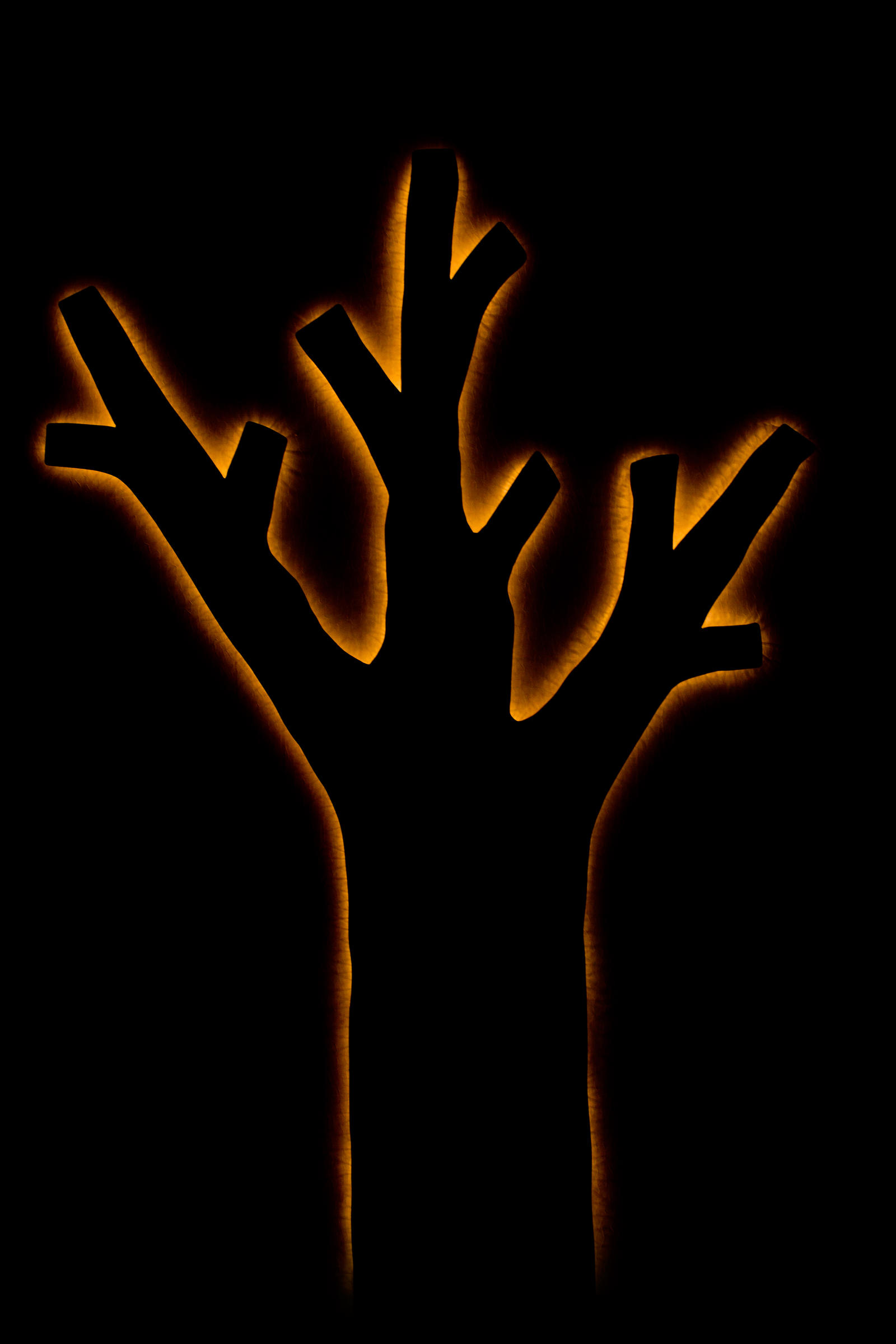 Tree Orange