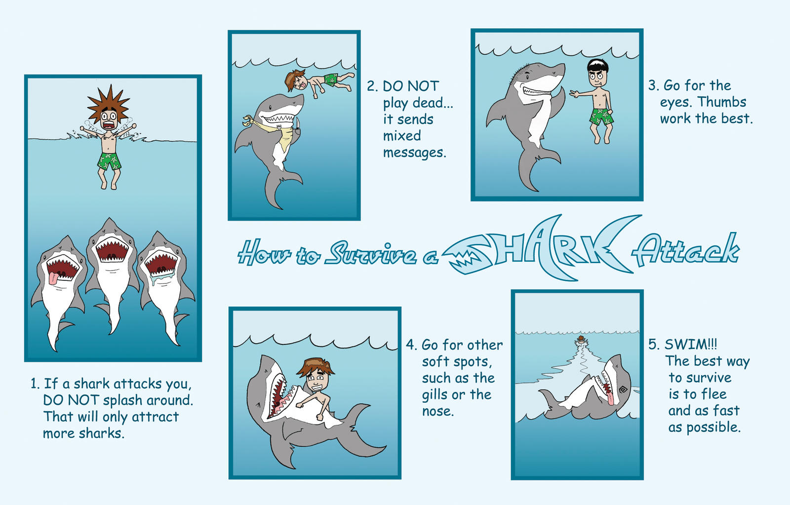 How to survive a shark attack