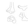 Four Toed Foot References