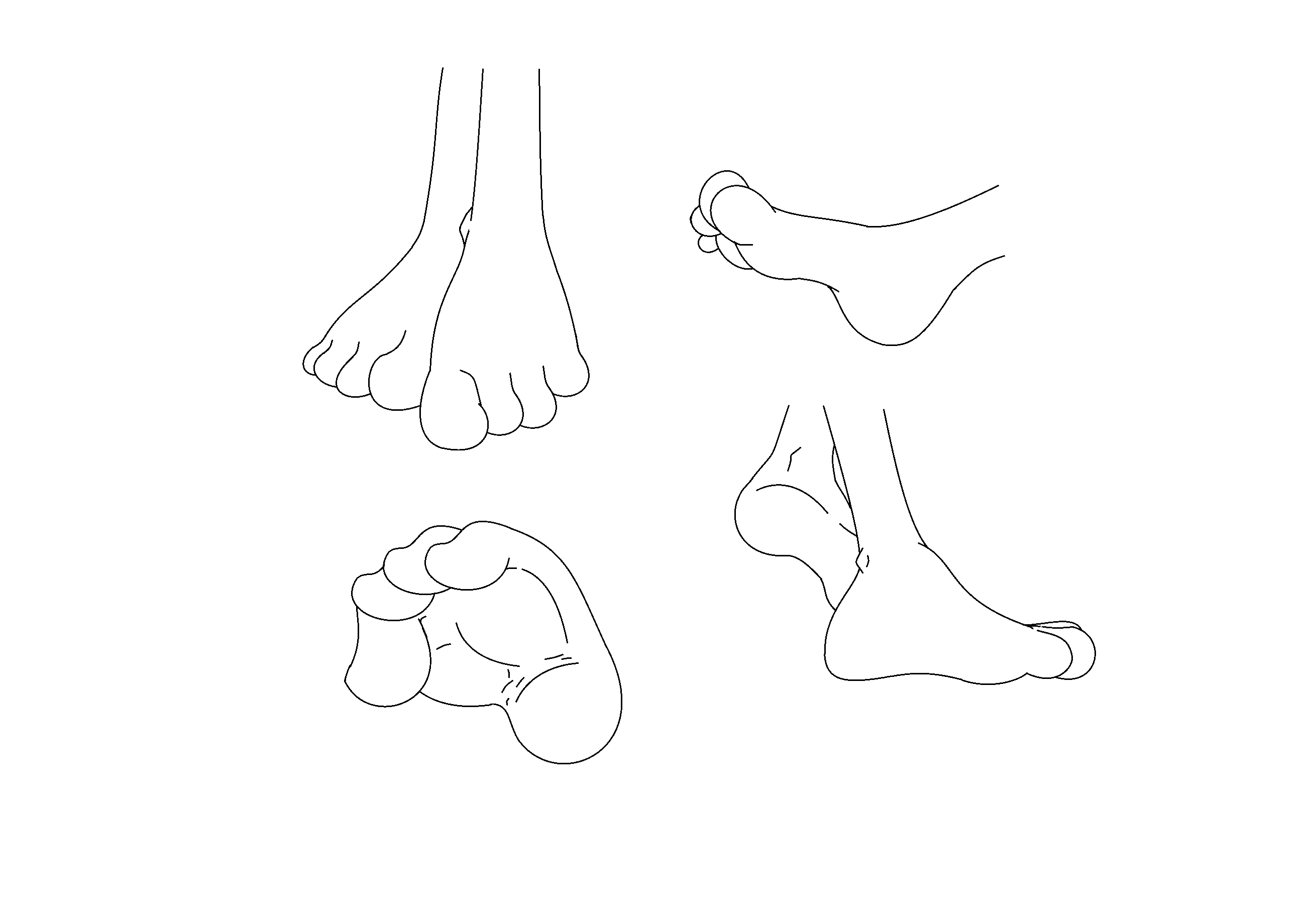 Four Toed Foot References