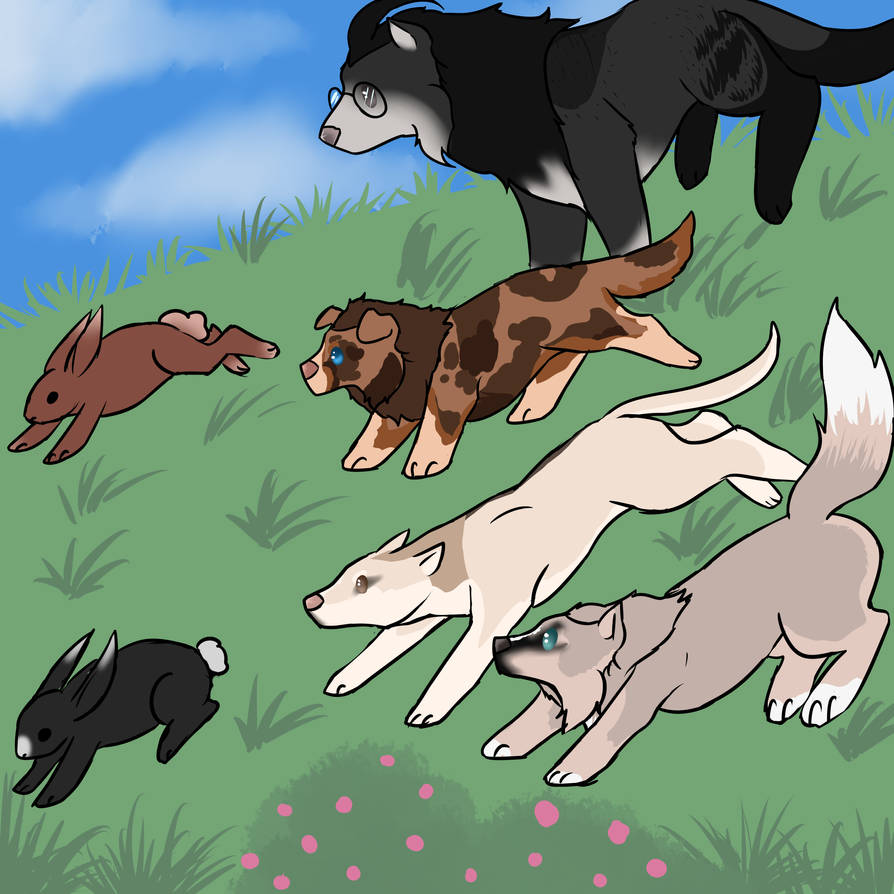 Hunting Rabbits Skit On a Rabbit Hunt by RuneHarpy on DeviantArt