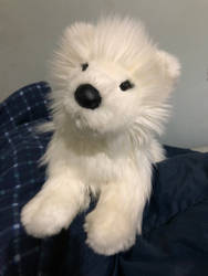 Sammy Samoyed by Douglas Cuddle Toys 