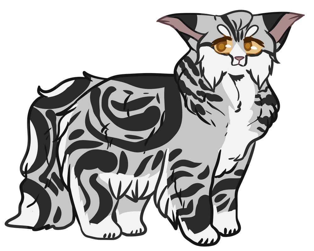 Warrior Cat Generator (adopt) by chvbbyboba on DeviantArt