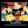 Nappa Needs Pants