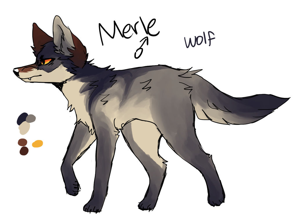 Merle Character Merle by captyns on DeviantArt
