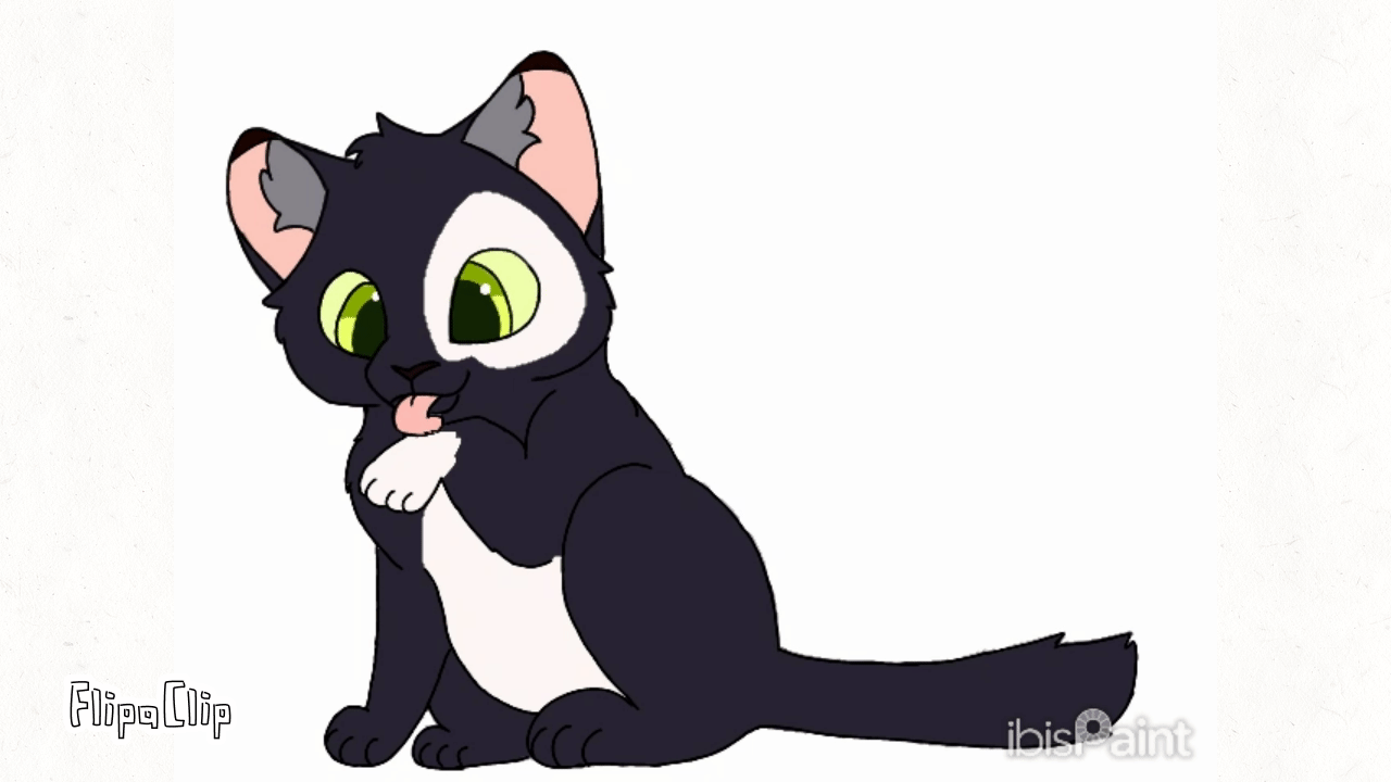 Kitten animation by Crystal-skies14 on DeviantArt