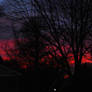 Suburban Sunset 2, 3-29-11