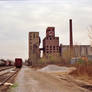 Red Comb Feeds Grain Elevator