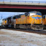 UP IHB Cermak_0034 3-4-12