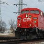 CP 9503 Hodgkins 0204 1-13-14