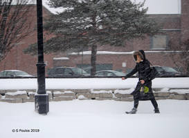 Winter Weather 0134 1-28-19