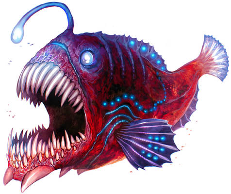 Anglerfish