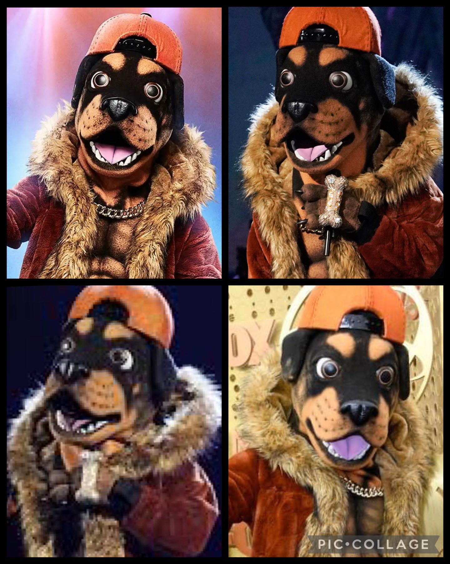 Rottweiler (Collage) by FranciscaTheCat on DeviantArt