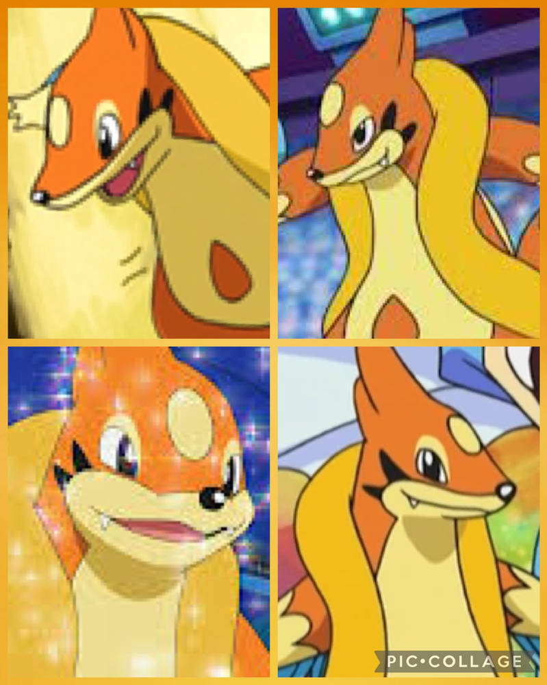 Floatzel Animation (Collage) Floatzel by FranciscaTheCat on DeviantArt