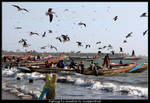 Fishing In Gambia by SnapperRod