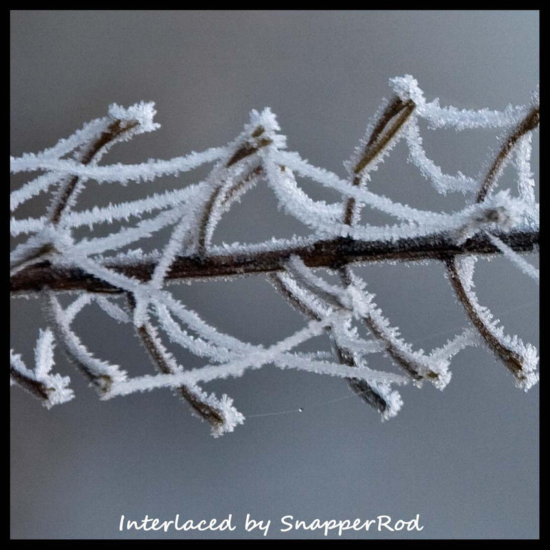 Interloped Interlaced by SnapperRod on DeviantArt