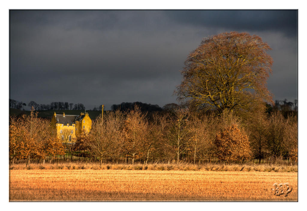 Winter Colours