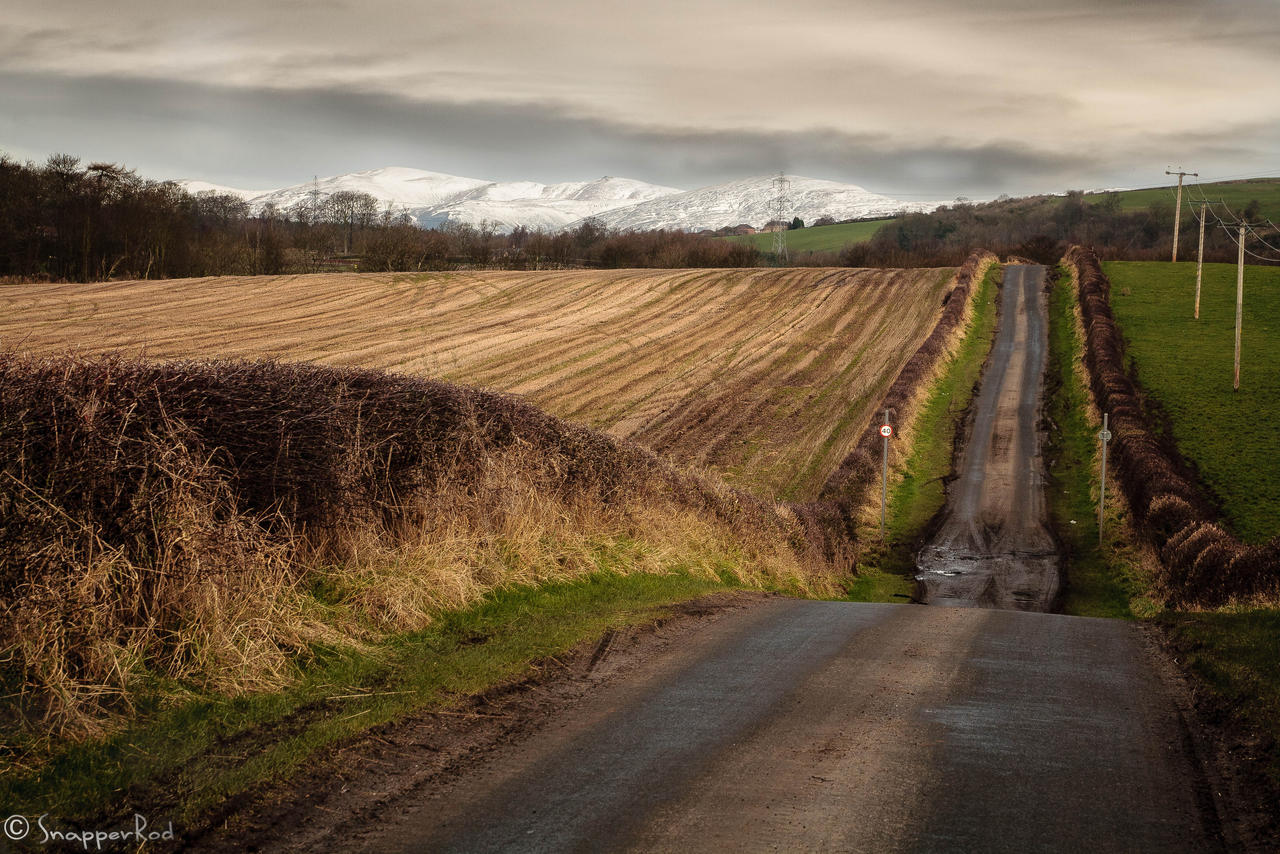 Down Country Roads