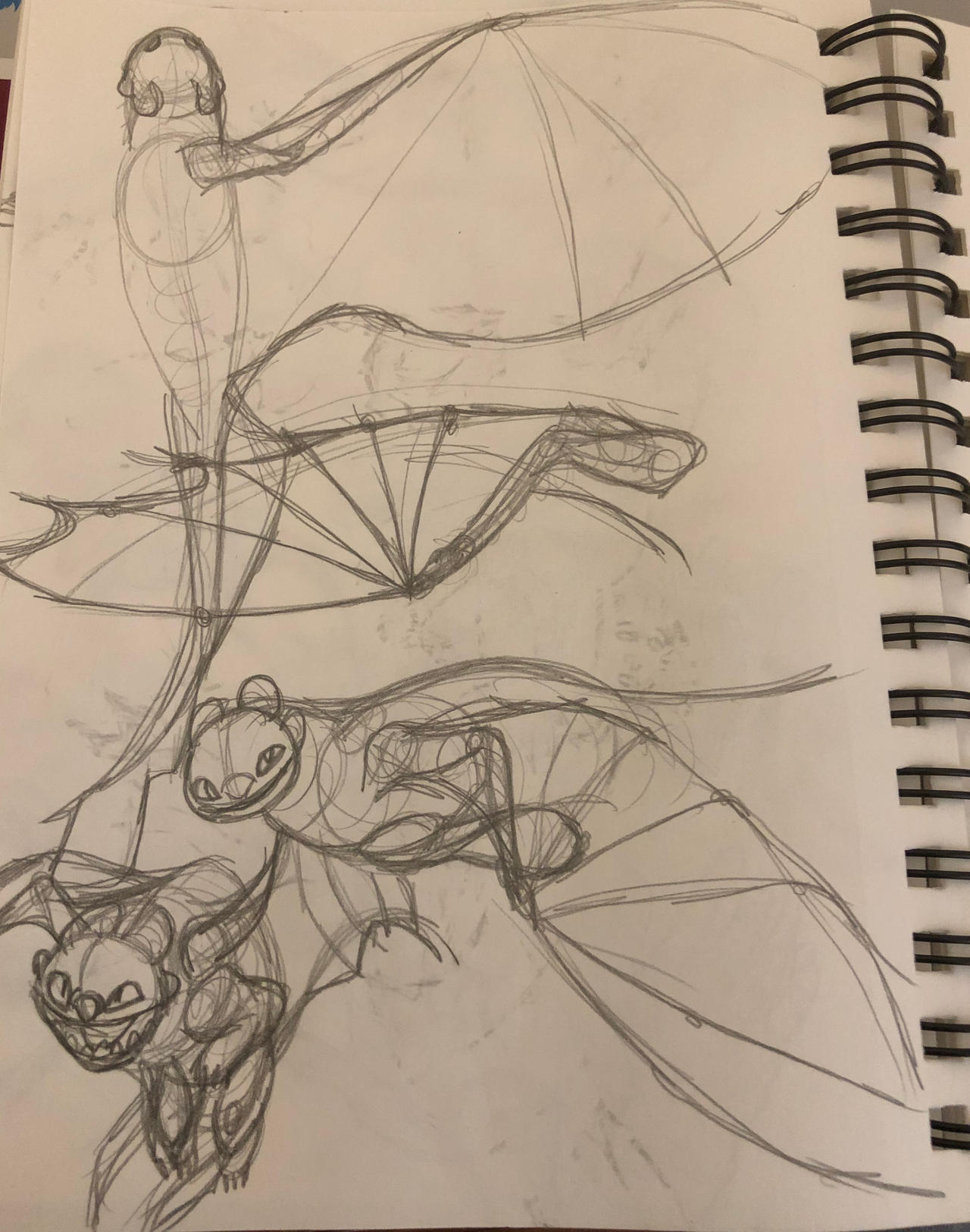 Light Fury sketches 2 by 4ler on DeviantArt