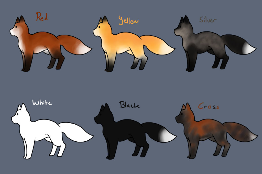Aurora fox Colors by JazuNeon on DeviantArt