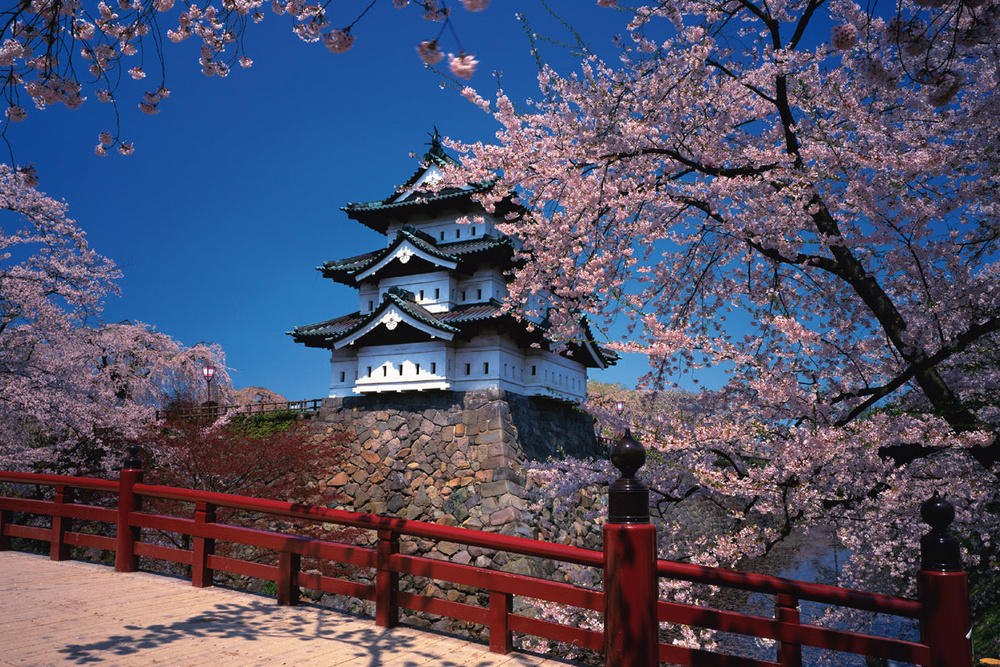 Япония сакура. Хиросаки Япония. Мацуяма Сакура Япония. Япония храмы Исэ Весна. Гора Япония храм Сакура.
