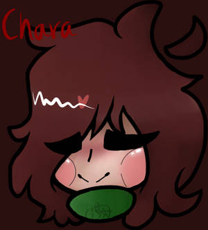 Chara headshot