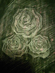 Scratched Roses