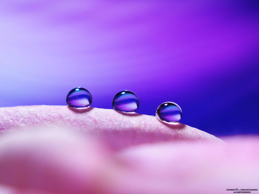 Beautiful droplets