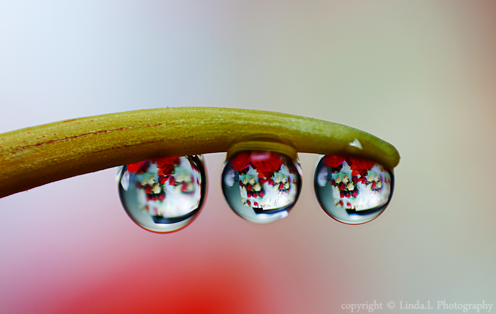 three drops