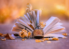 Its autumn time
