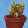 no. 1 cactus