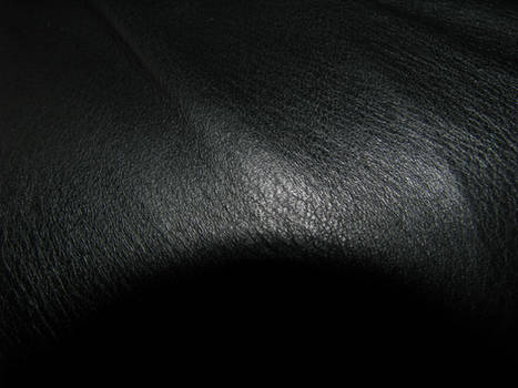 Leather Texture 01.