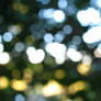 Bokeh 11.