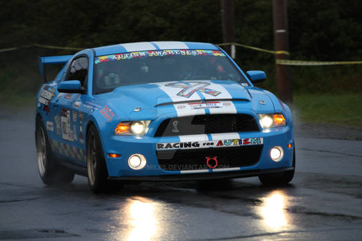 2010 Ford Shelby GT 500