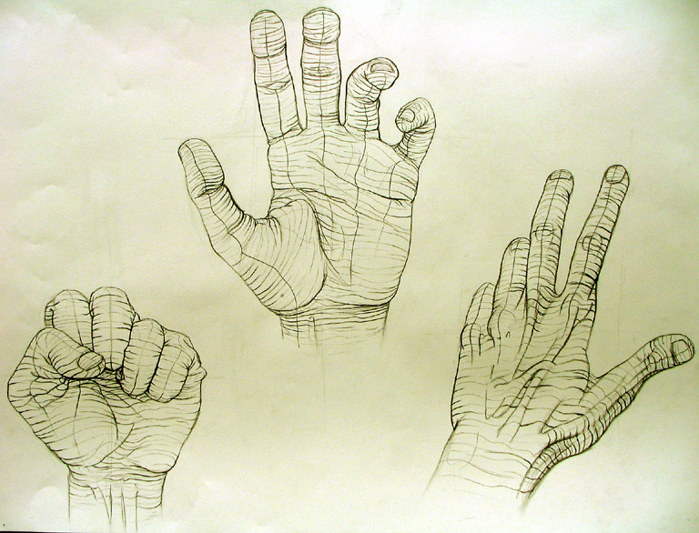 Cross Contour Hand Study 1