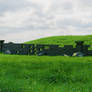 Grass Hills