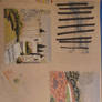 Color Rendering Assignment 11.2