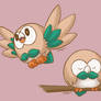 Rowlet!