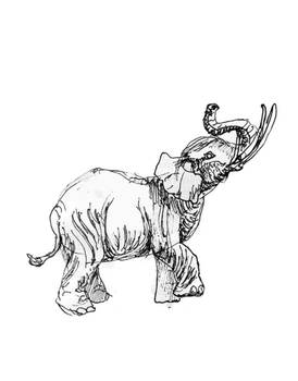 Explore the Best Oliphaunt Art | DeviantArt