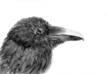 Inktober 07 - Raven