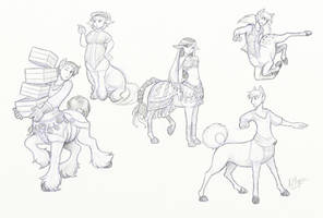 Centaur Sketches 3