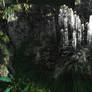 pandora plants