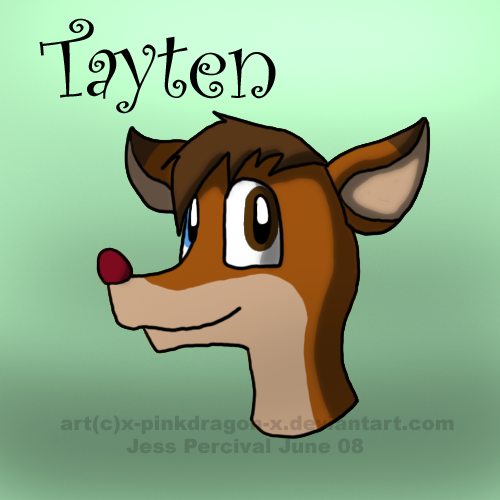 Tayten head shot